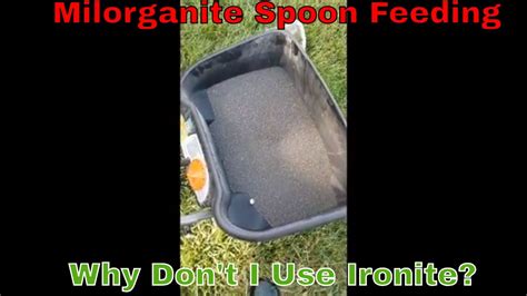 Fertilize with milorganite four (4) times per year, for more information on rates and schedule. Lawn Care Nut Youtube - e-nilorca