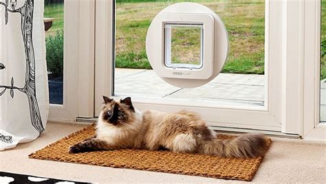 Ideal pet doors, especially for the window, incorporate an intelligent blueprint which safeguards your exterior from climate features and other invaders. Smart Pet Door Reviews | Best Electronic Dog Door in 2019