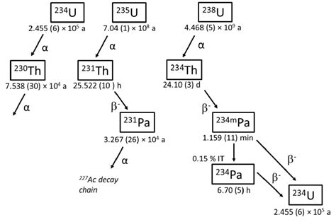 The mining of uranium uranium is found in small amounts in most rocks, and even in seawater. Decay chain of the natural uranium isotopes 234 U, 235 U ...