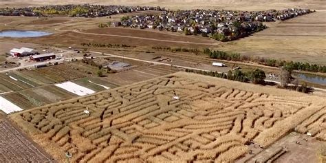 After one of the murals in city hall is defaced, leslie and the parks department compete to come up with a new design. Corn Mazes from Mild to Wildly Scary, October 25-31!