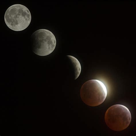 However, a blood moons are signaled by the message the blood moon is rising. in the. Blood Moon phases from this morning. Taken with a Canon ...