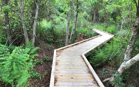 Exclusive guided tours with a park master naturalist. Gulf State Park | Alapark