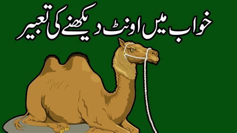 People who dream about camel, according to the quran, experience more negative changes in life routines than those who don't. Camel Dream Meaning and Islamic Interpretation in Urdu ...