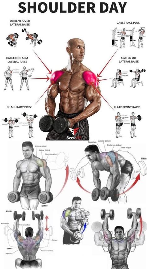 Lift the bar off the rack and position it above your chest with arms fully extended. fitness - TUTORIAL SHOULDER DAY | Weight training workouts ...