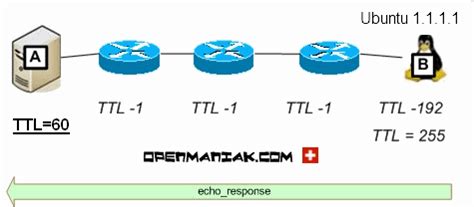 If you are looking for what does ttm mean, the meaning of ttm, the acronym of ttm, the definition of ttm, the abbreviation of ttm, then you are in the right platform because here we are going to provide. openmaniak scenario ttl time-to-live ubuntu linux