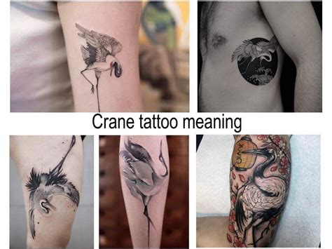 We did not find results for: Crane tattoo meaning: sense, history, photo examples ...