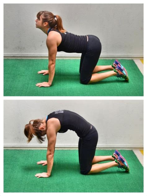 It stretches the back torso and neck, and softly stimulates and strengthens the abdominal organs. How To Do A Push Up | Redefining Strength