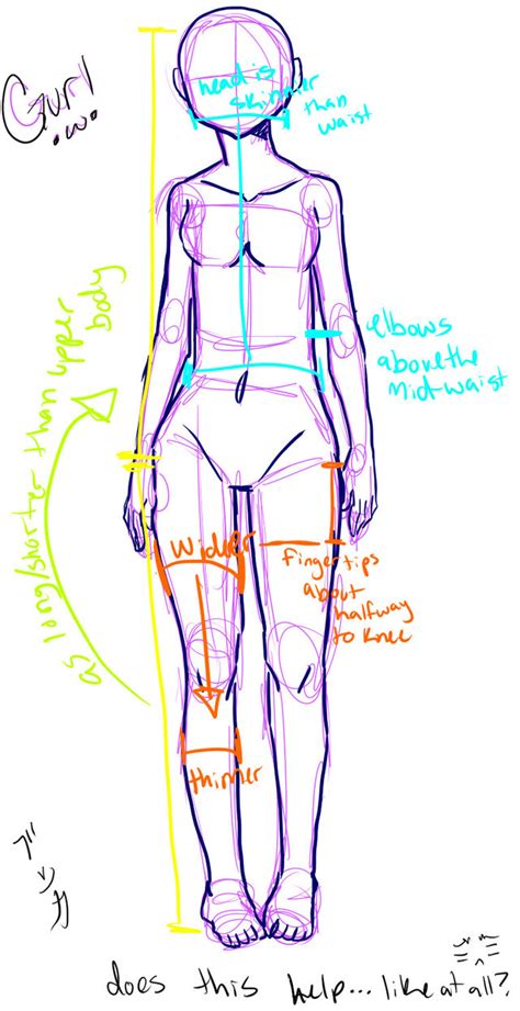 Start studying female body diagram. how to draw: the female body by saroona97 on DeviantArt