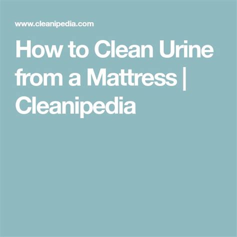 Don't forget to spray the sides or top too! How to Clean Urine from a Mattress | Cleanipedia | Urinal ...