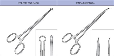 Nov 12, 2020 · alrededor de la vasectomía sin bisturí existen mitos que podrían desincentivar a hombres a realizarse este procedimiento, por lo que te explicamos en qué consiste este procedimiento. Vasectomía sin Bisturí | Vasectomía