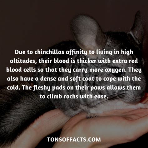 Maybe you would like to learn more about one of these? Pin on Interesting Facts About Animals