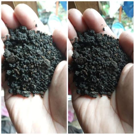 Pasir halus is on facebook. Pasir Malang 1kg (Butiran kasar dan halus/mix) | Shopee ...