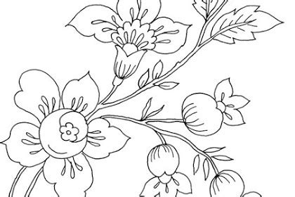 Bahkan di indonesia sendiri sudah terdapat banyak jenis gambar yang memiliki bentuk dan warna yang sangat indah sekali. Fantastis 14+ Gambar Bunga Anggrek Mewarnai - Gambar Bunga HD