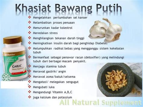 Mengkonsumsi bawang putih sebelum tidur terbukti cukup ampuh melawan dan mencegah berbagai penyakit, seperti mama's shaklee: APAKAH KHASIAT BAWANG PUTIH???