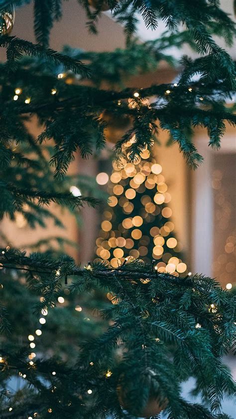See more ideas about aesthetic, christmas competitions, no time for me. Christmas Lights Lock Screen Cozy Winter Aesthetic Wallpaper, Iphone Christmas Aesthetic ...