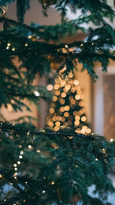 Here are some gorgeous christmas tree christmas lights aesthetic. Christmas Lights Lock Screen Cozy Winter Aesthetic Wallpaper, Iphone Christmas Aesthetic ...