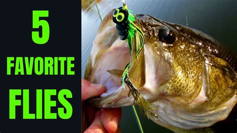 We provide aggregated results from multiple sources and sorted by user interest. 5 FAVORITE FLIES (fly fishing) - YouTube