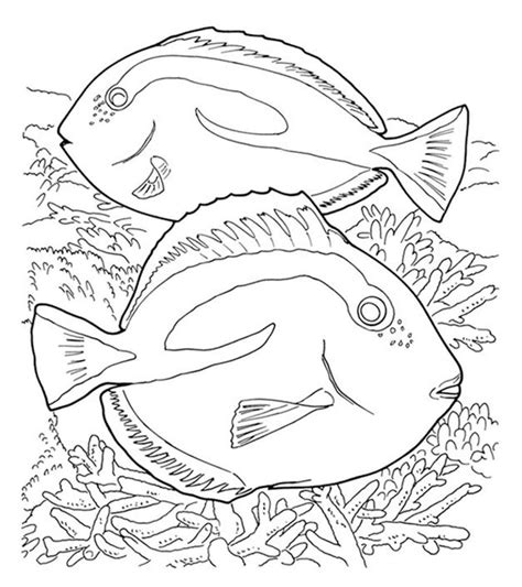 Hey there people , our latest update coloringimage which you canuse with is coral reef fish dolphin coloring pages, posted on coral. Top 10 Coral Coloring Pages For Toddler