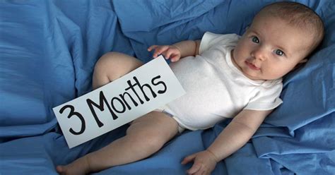 Sebelumnya sudah kita bahas mengenai perkembangan bayi 4 bulan sekarang mari masuk tahap perkembangan bayi usia 8 bulan dari segi panjang dan berat badan bayi. Bayi 1 Bulan Gak Bab 3 Hari - Baby Love
