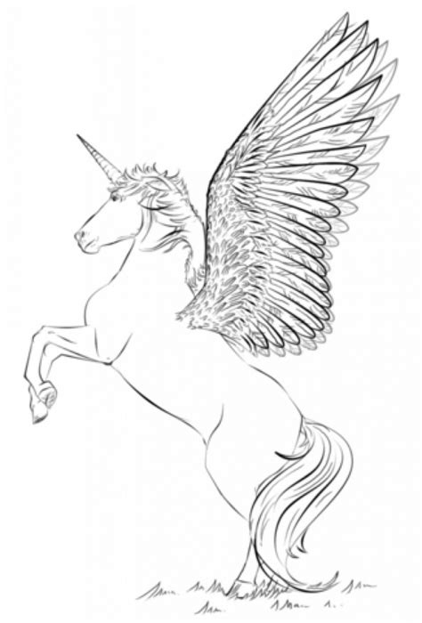 I love them 2 weeks ago. 41 Magical Unicorn Coloring pages