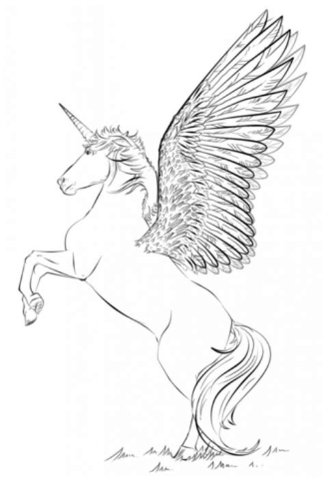 Pictures of unicorns with wings coloring pages are a fun way for kids of all ages to develop creativity, focus, motor skills and color recognition. 41 Magical Unicorn Coloring pages