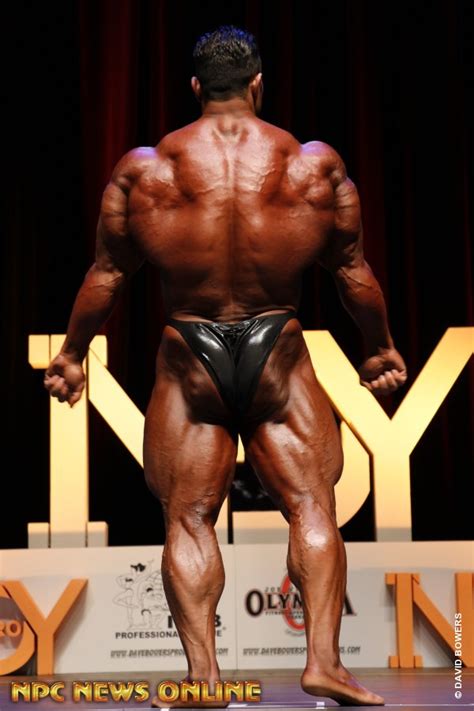 Find the best information and most relevant links on all topics related tothis domain may be for sale! Egyptian Apis bull Hassan Mustafa - World Wide BodyBuilders