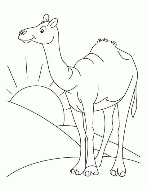 Download printable camel coloring pages to print for free. Desert Coloring Pages For Kids - Coloring Home