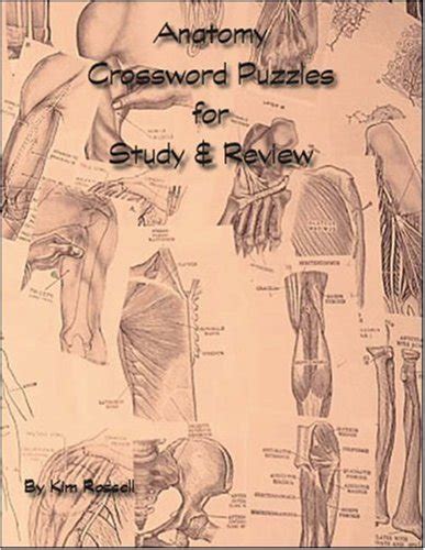 Skin, epithelium, connective tissue pages: Bone Anatomy Crossword : Skeletal System Crossword Puzzle ...