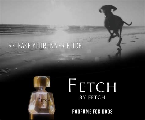 Here is more on what you need to know about dog perfumes. What This New Perfume For Dogs Smells Like May Shock You - Three Million Dogs | Dog smells, Dog ...