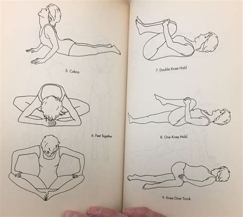 Pin by Simon Lisa on Exercise | Male sketch, Sketches ...