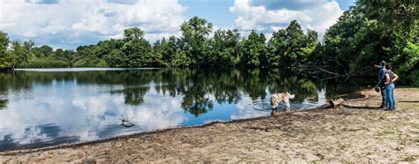 De koloniën zijn 200 jaar oud. Wortel-Kolonie | Kempen