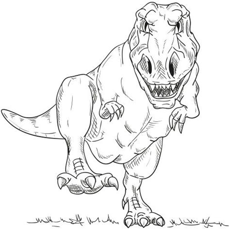 Die dinosaurier (dinosauria, von altgriechisch δεινός. Trex Ausmalbild - 1Ausmalbilder.com | Dinosaurier ...