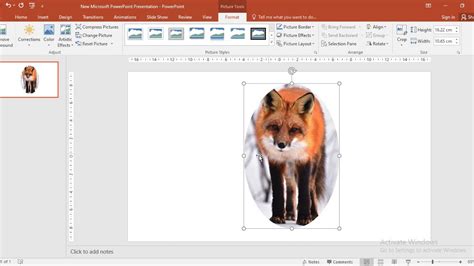 If necessary, select the picture again and click the. How to Crop,Resize,Shape, and fit your Images by Microsoft ...
