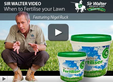 What kind of weed killer to use on sir walter buffalo lawn? Lawn Care Guides, articles and videos tagged with Sir Launcher | Love your Lawn