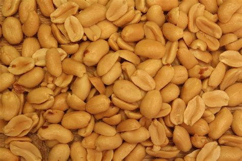 Maybe you would like to learn more about one of these? Jual Kacang Tanah Kupas Murah