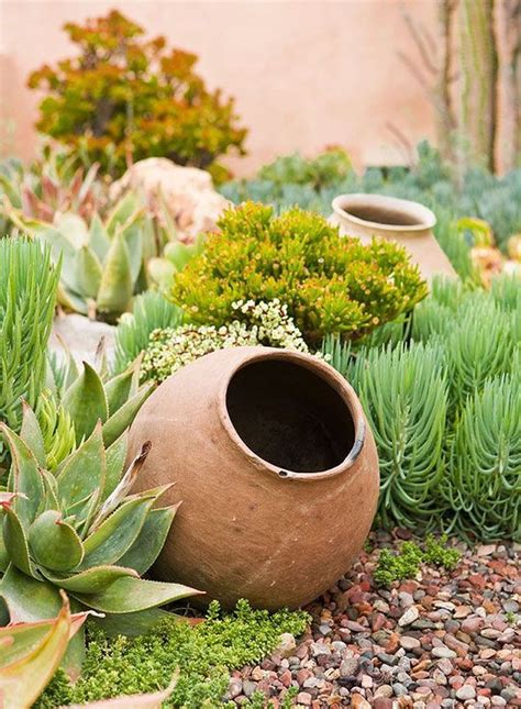 Desert cacti desert cacti hail from throughout the arid regions of the america's and surrounding islands. Spilling flower pots look nice even without any trailing ...