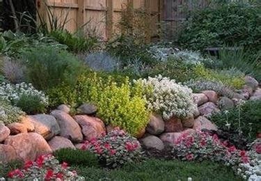 Per fare un giardino, bisogna essere a conoscenza di diversi aspetti prima di iniziare a seminare fiori e alberi da frutto. come creare un giardino roccioso - Giardino fai da te