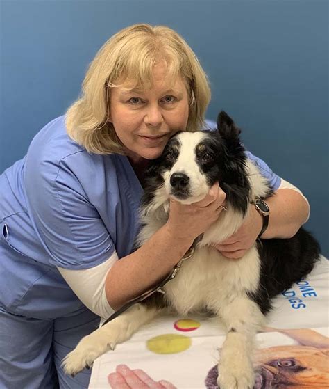 With over 40 years of experience, she is a knowledgeable veterinarian and accomplished surgeon, as well as a member of the iowa veterinary medical association. Veterinarians in Ames | Ames IA Veterinarians