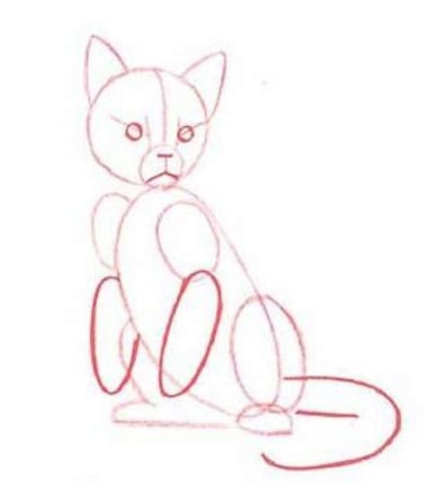 Lets get started with step number one. how to draw sitting cat step by step-4 | *applause* these ...