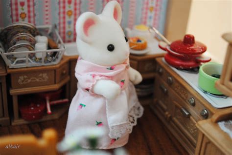 Darf gerne geteilt werden 🙌! sylvanian haus | altair toyZZ | Flickr