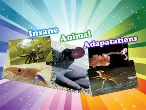 Enjoy our hd porno videos on any device of your choosing! Insane Animal Adaptations | Animal adaptations, Animal ...