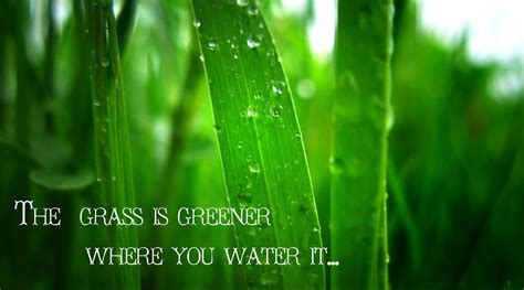 It sounds more like a bad case of the grass is always greener syndrome. Grass Is Greener Quotes. QuotesGram