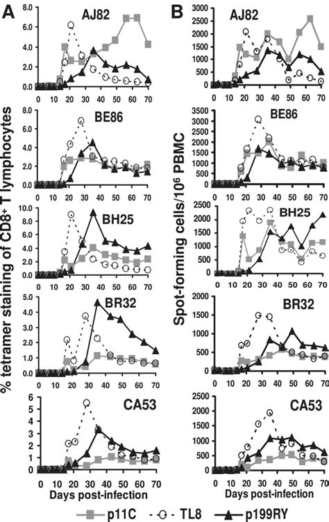 Rhesus har anmeldt et erotisk brettspill og ga det en femmer. Development of MamuA*01-and Mamu-A*02-restricted, SIV ...