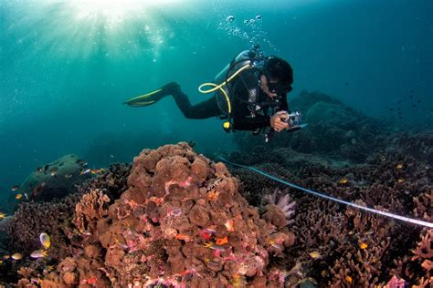 New Report Dives Deep Into the Myeik Archipelago - Mission Blue