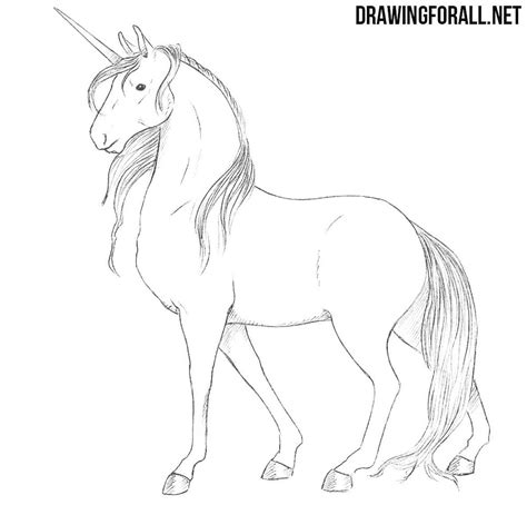 Unicorn sketch unicorn drawing how to draw unicorn kawaii drawings cute drawings drawing sketches pencil drawings drawing videos baby unicorn by mariola budek grayscale digital art! How to Draw a Unicorn | Drawingforall.net