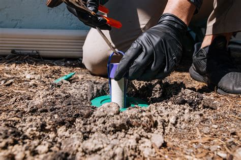 Termites are extremely well organized and can find a way inside your home, regardless of its construction. Florida Environmental Pest Management - Home | Facebook