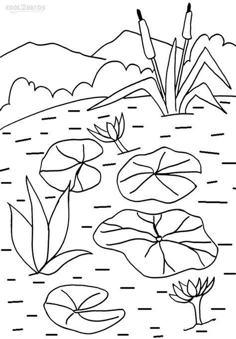 Printable Lily Pad Coloring Pages For Kids | Cool2bKids | Lily pads, Lilies drawing, Coloring ...