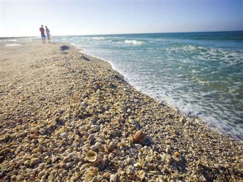 Good view, comfortable bed, nice staff, accessories (bicycles, beach chairs, etc), location, shelling cons. Best shelling beaches | Sanibel island, Beach, Gulf coast ...