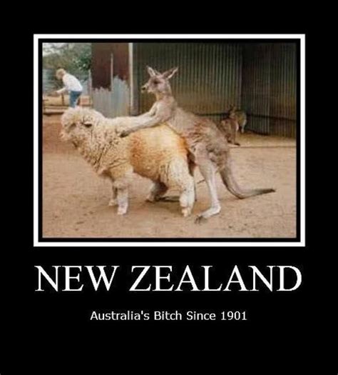 At the end of the day's play, new zealand scored 101 runs for the loss of 2 wickets. Pin by Renata Hartman on memes | Cute cat memes, Funny cat ...