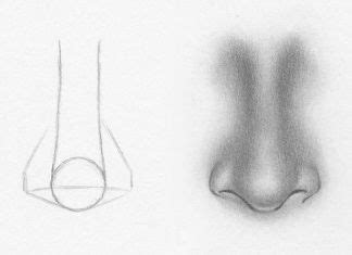 If you want to draw big, long, skinny or pointy noses, try changing the shapes that make up the nose. How to draw a nose from the front - 7 easy steps | Nose ...